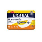 Absorvente-Geriatrico-Big-Maxi-Super-20-unidades