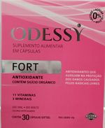 odessy-fort